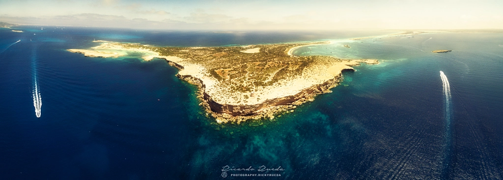 Delfin navega libre by Ricardo Fernández on 500px.com