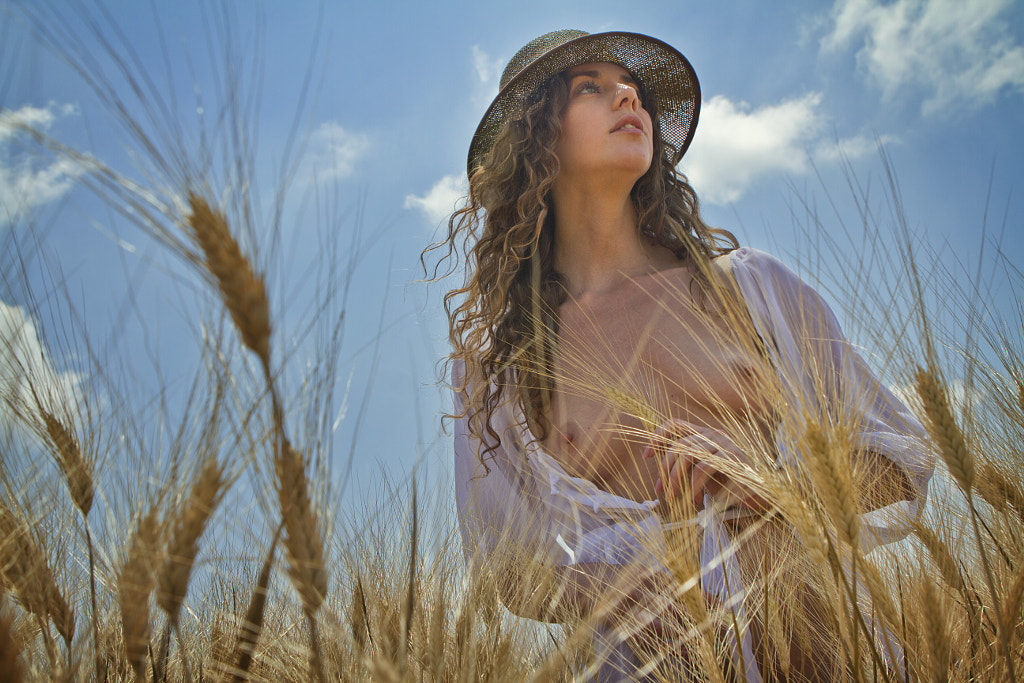 Summer Wheat Fields by Raphael Ben Dor on 500px.com