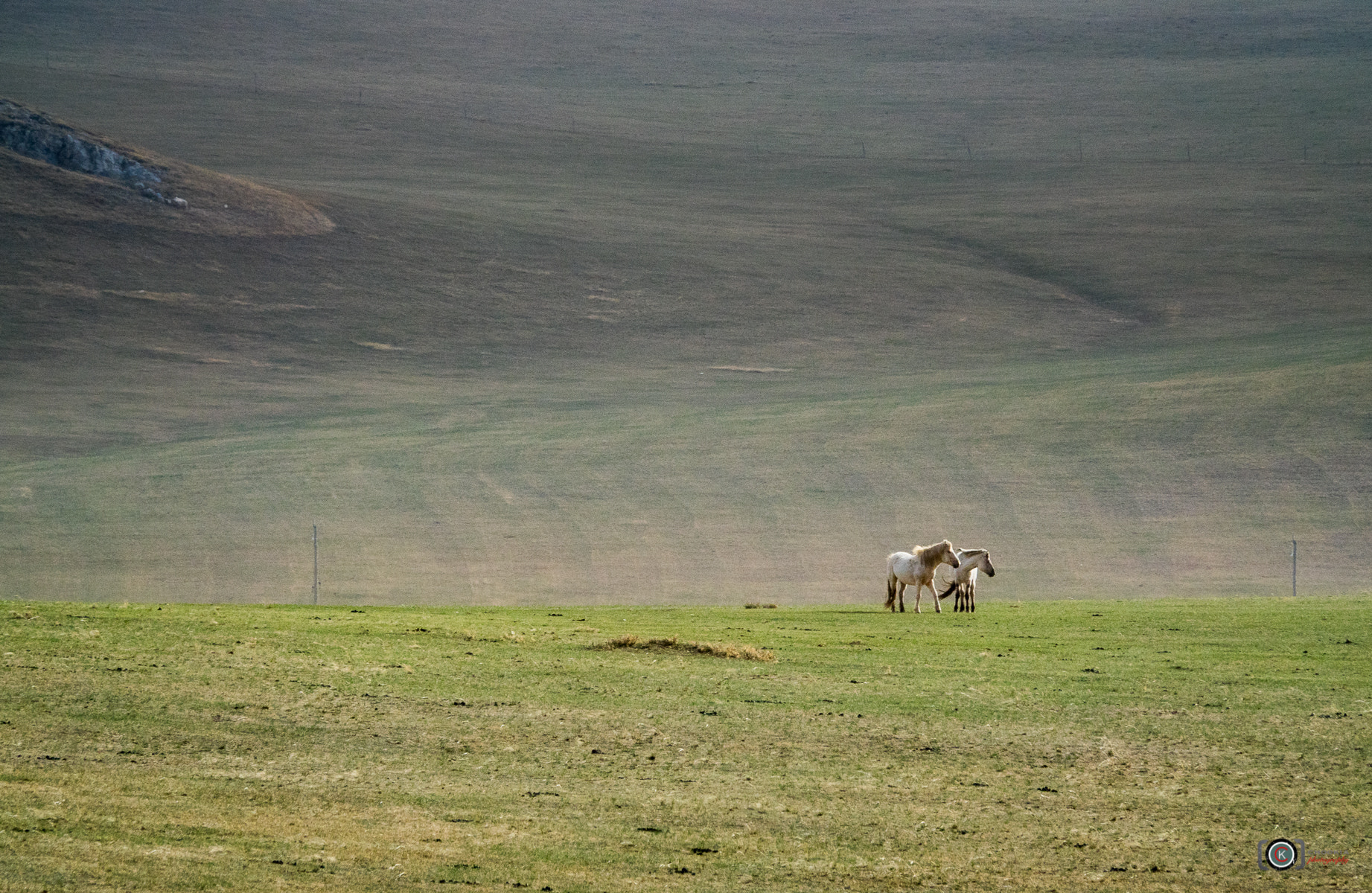 Couple II 锡林浩特 Xinlinhot  Inner Mongolia