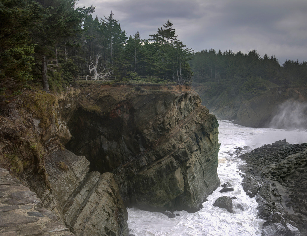 Shore Acres State Park, Coos Bay, Oregon by Catherine Johnson / 500px