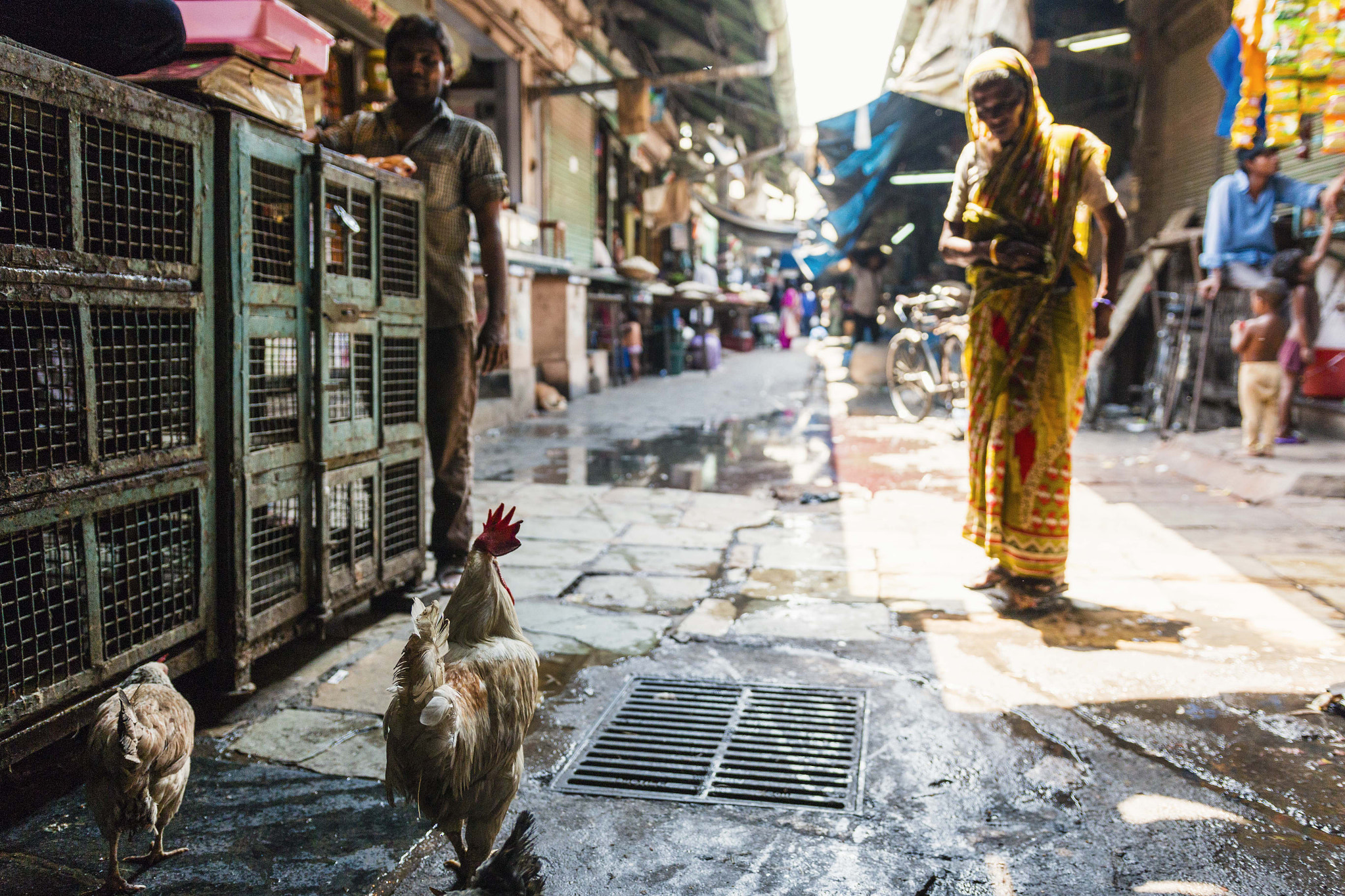 MUMBAI MARKET CHICKEN