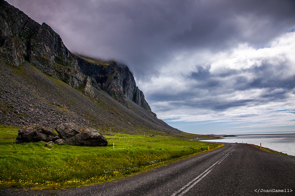 The road ahead
