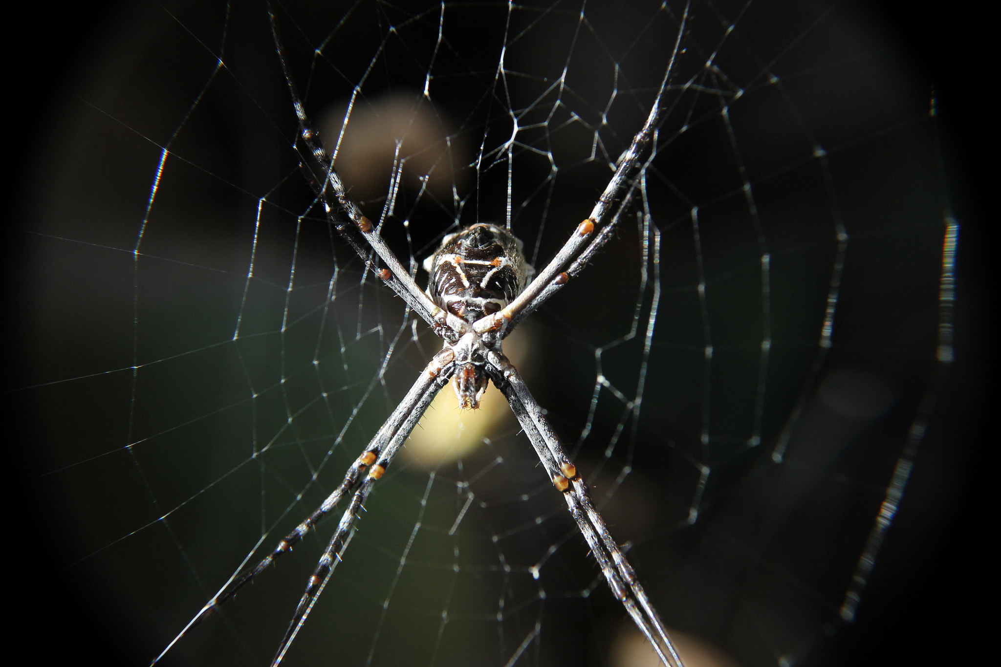 v2?sig=aabd0b5e9e8d2ba4d4140fb7b108e02ad84121ecdda3dafb371881b6e49cd00c