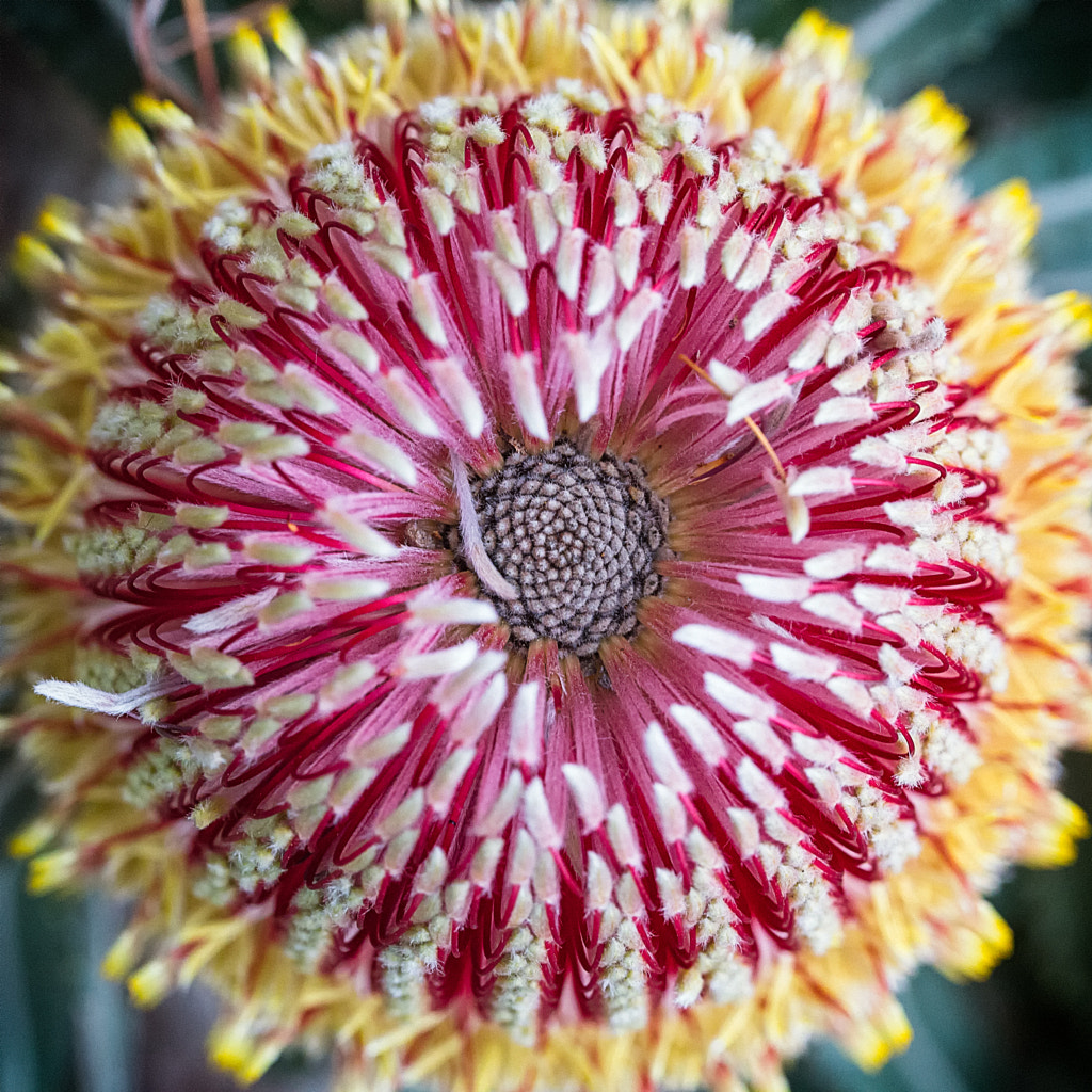 Looking Down by Paul Amyes on 500px.com