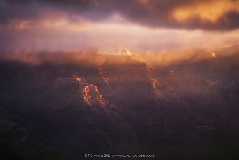 Metamorphosis by Peter Coskun Nature Photography  on 500px.com