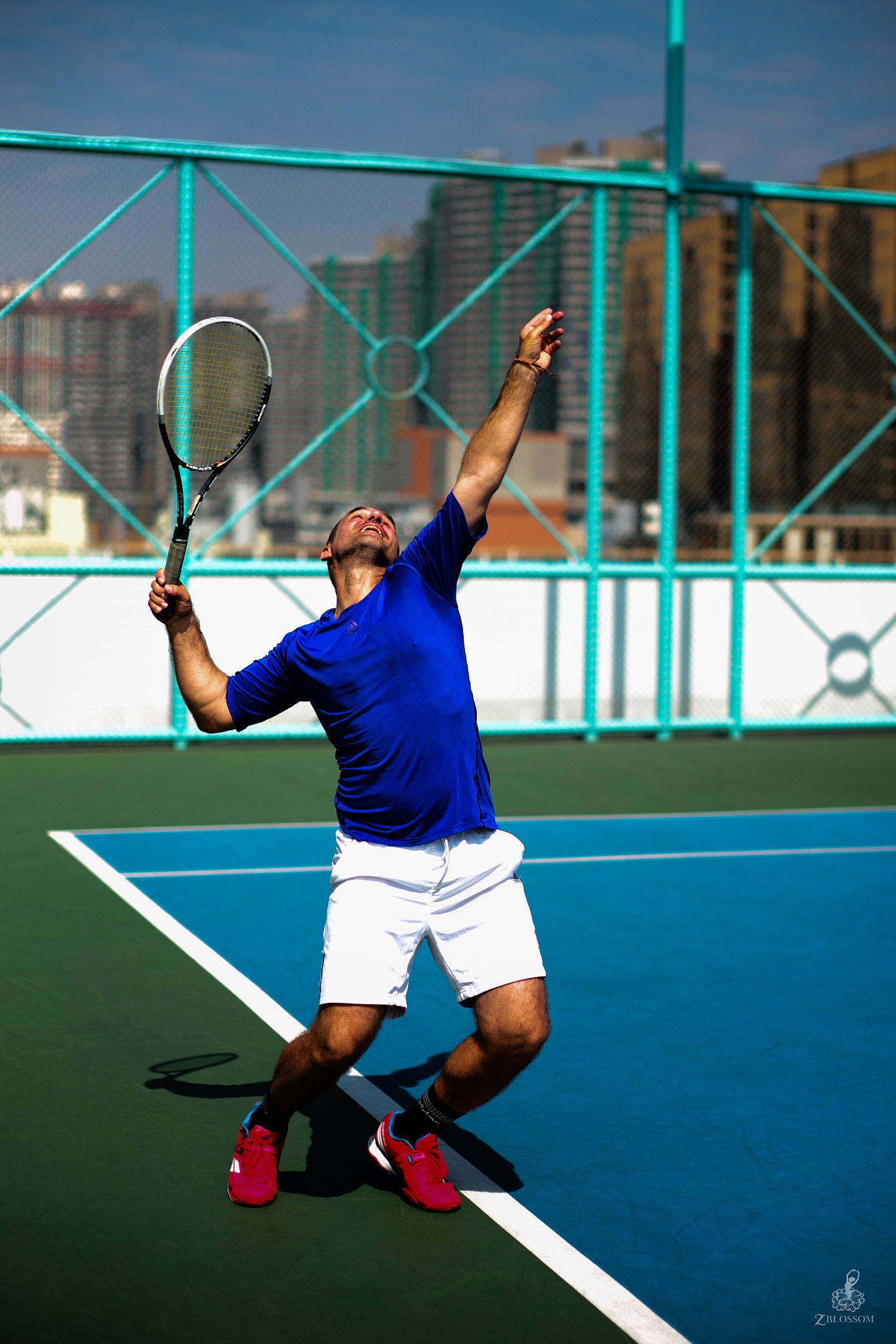 Tennis Coach - Arndt Schmitz