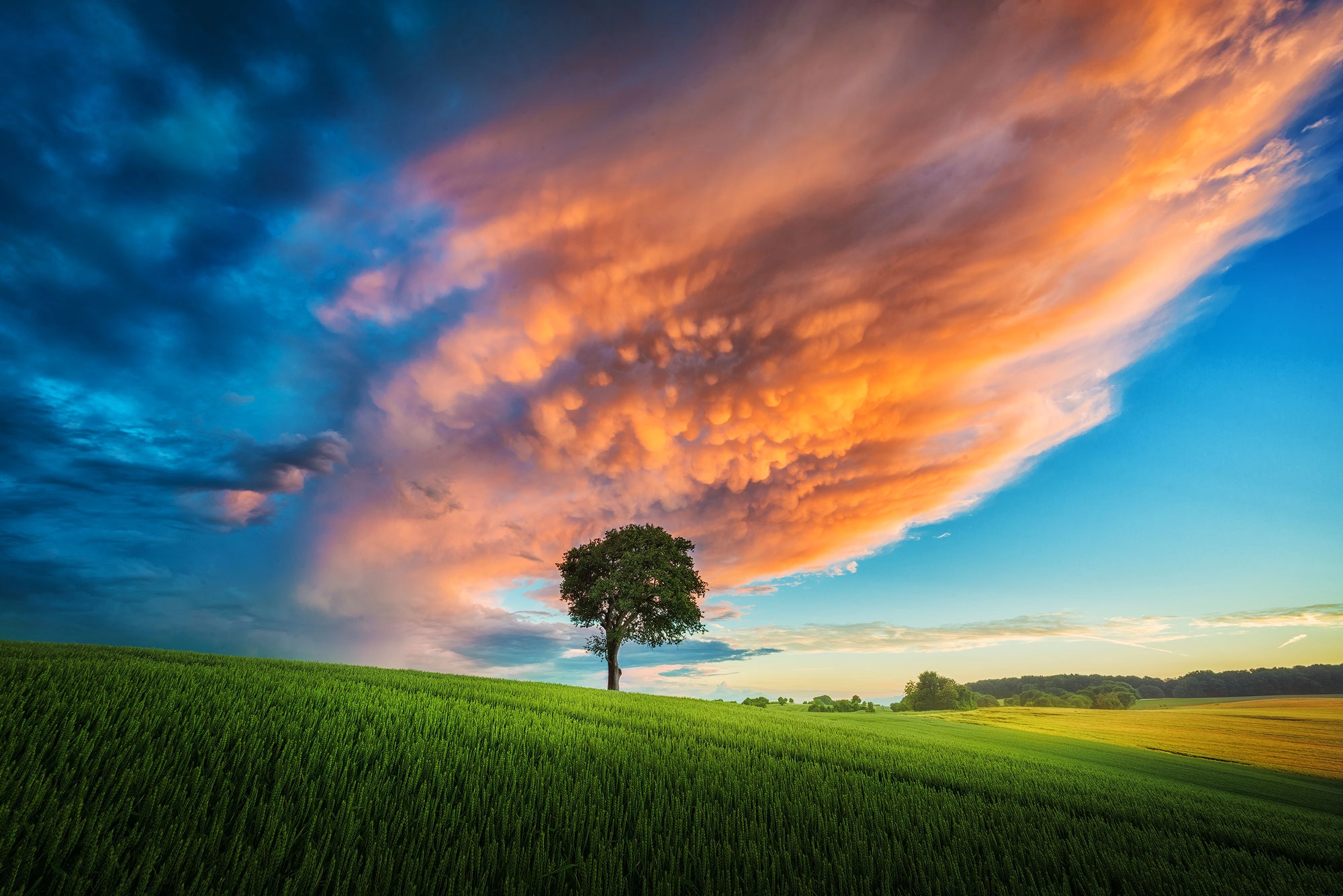 Armin Barth (Armin_Barth) Photos / 500px