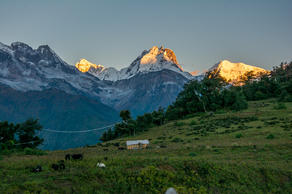 Ganesh Himal sunrise by Sahil Guraya on 500px.com