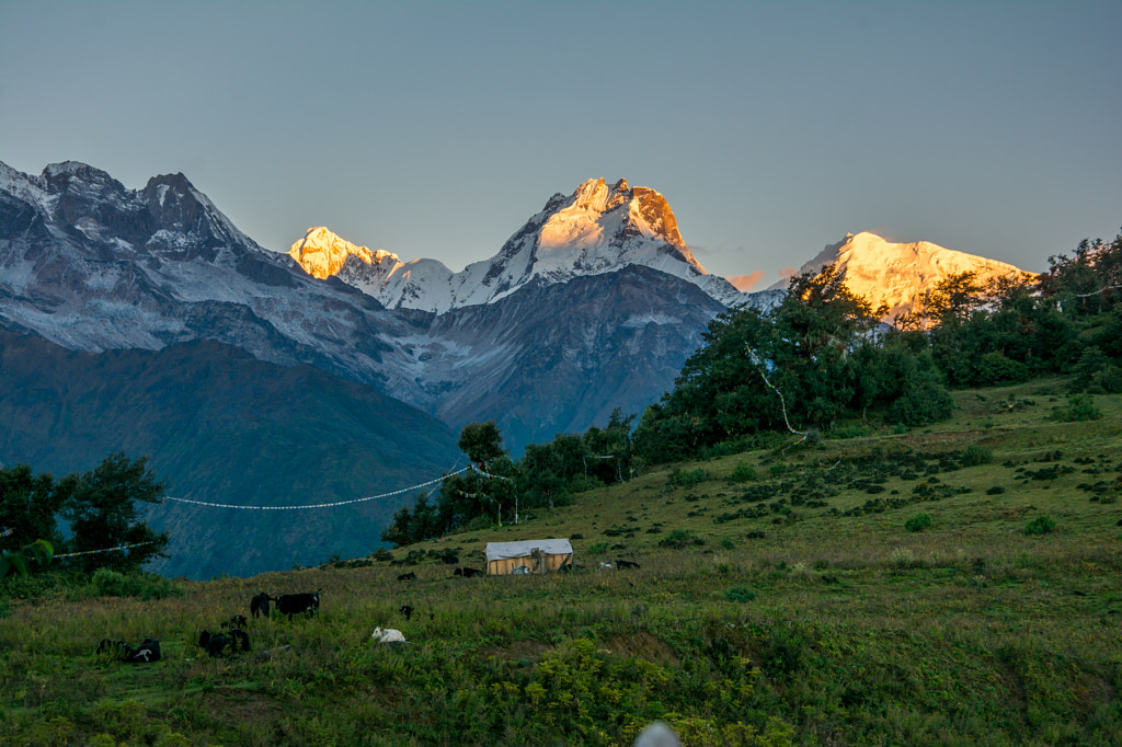 Ganesh Himal sunrise by Sahil Guraya on 500px.com