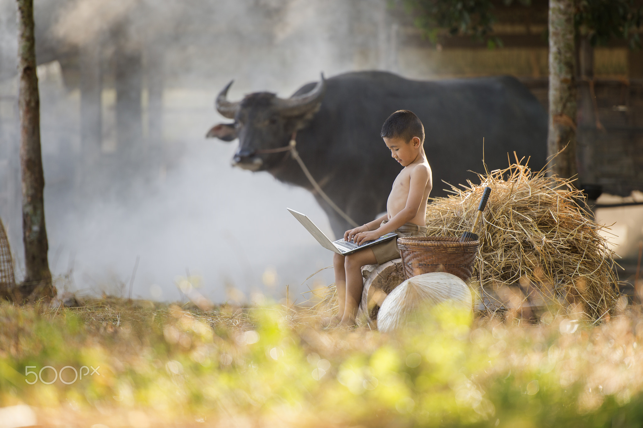 Young boy playing laptop on farm background