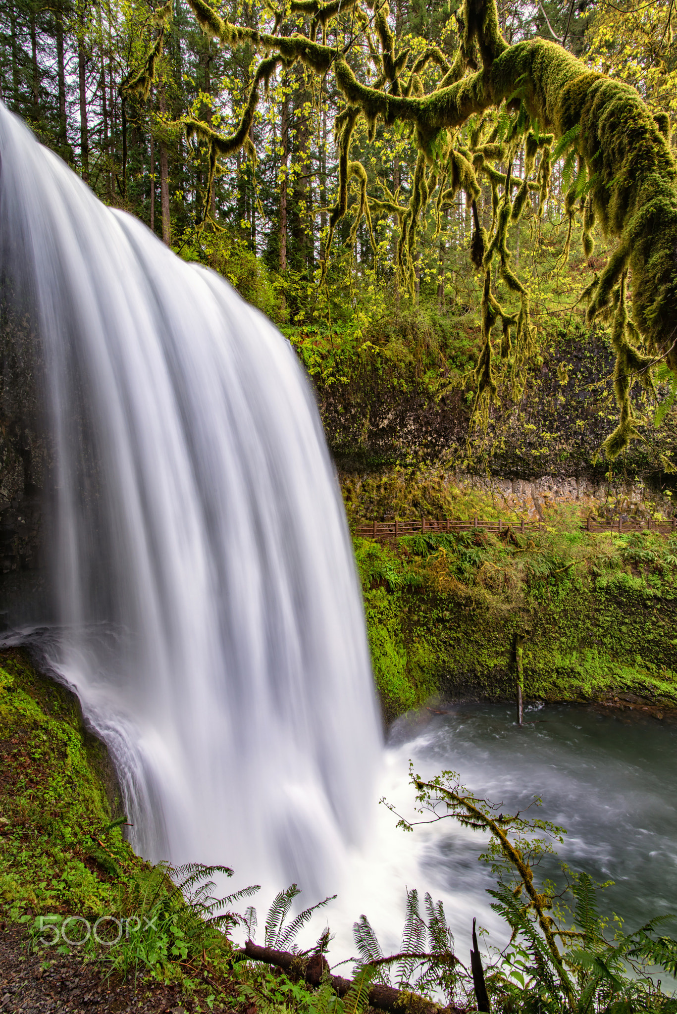 Silver Falls