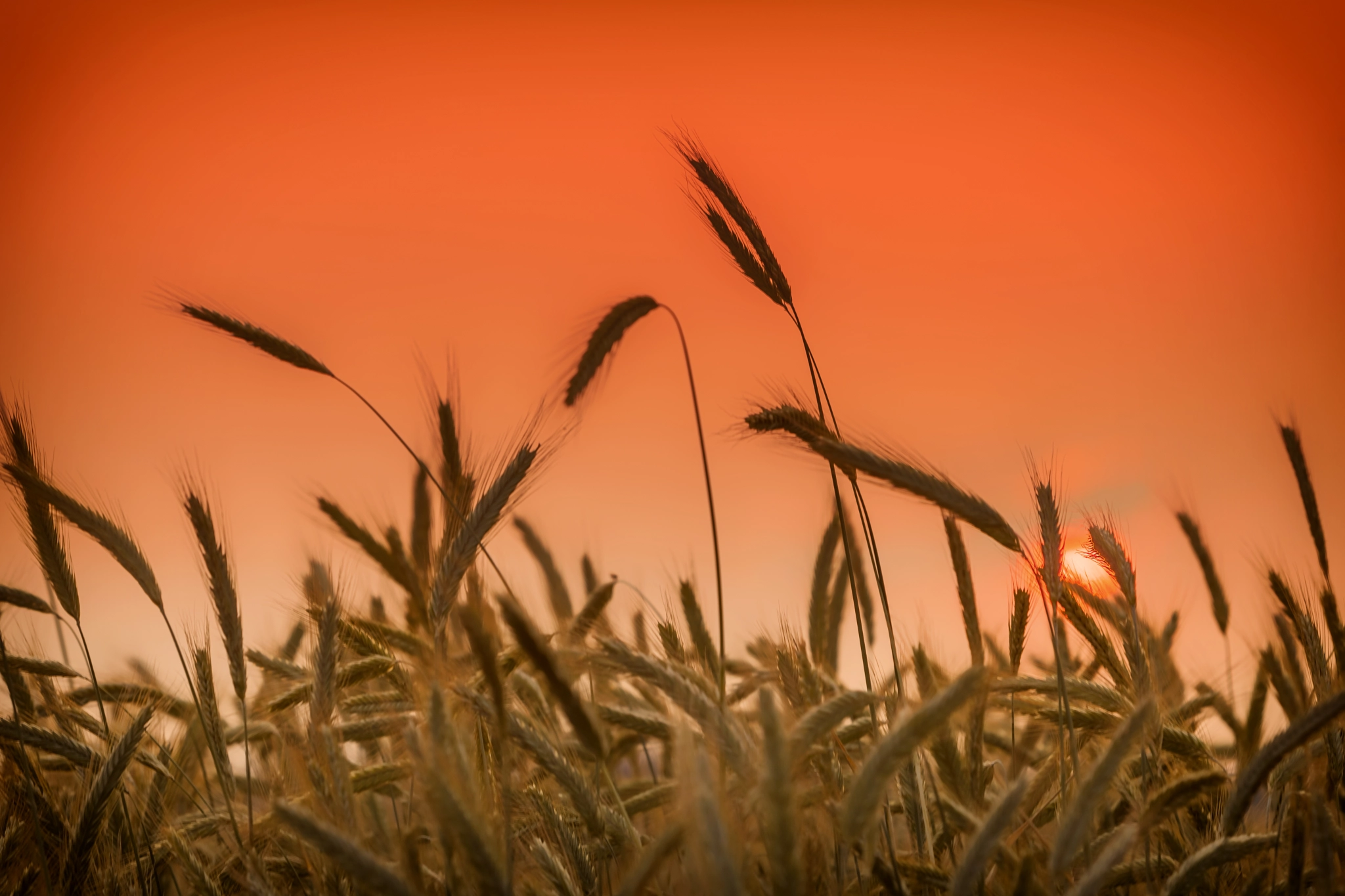 Sanfte Landschaft