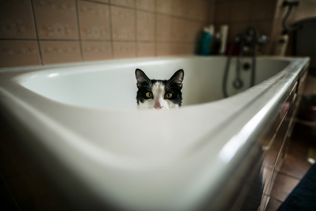 Louis in the tub by Erik Witsoe on 500px.com