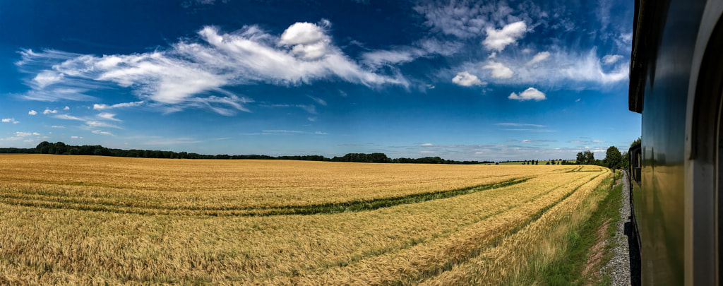 summer by dirk derbaum on 500px.com