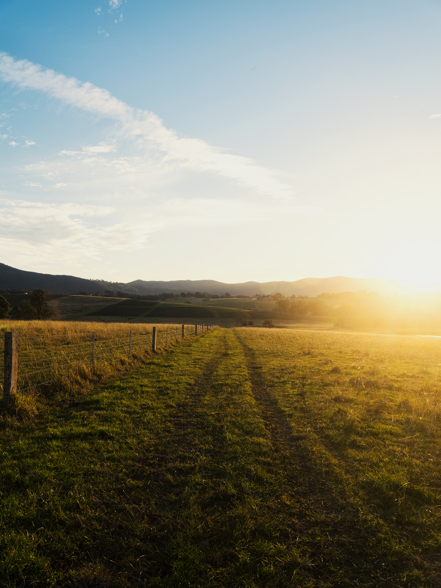 [•] Hunter Valley Light