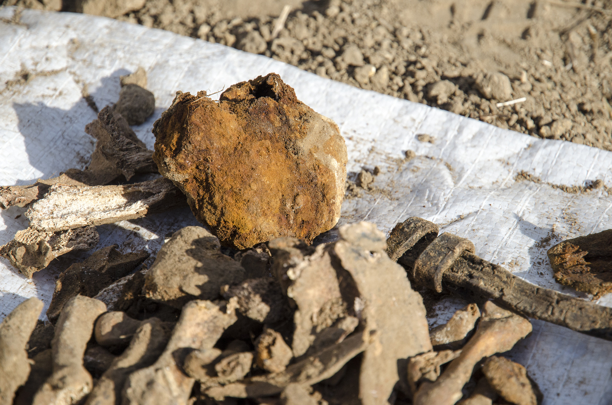 Excavations of burial of soldiers of the Second World War. Kakh