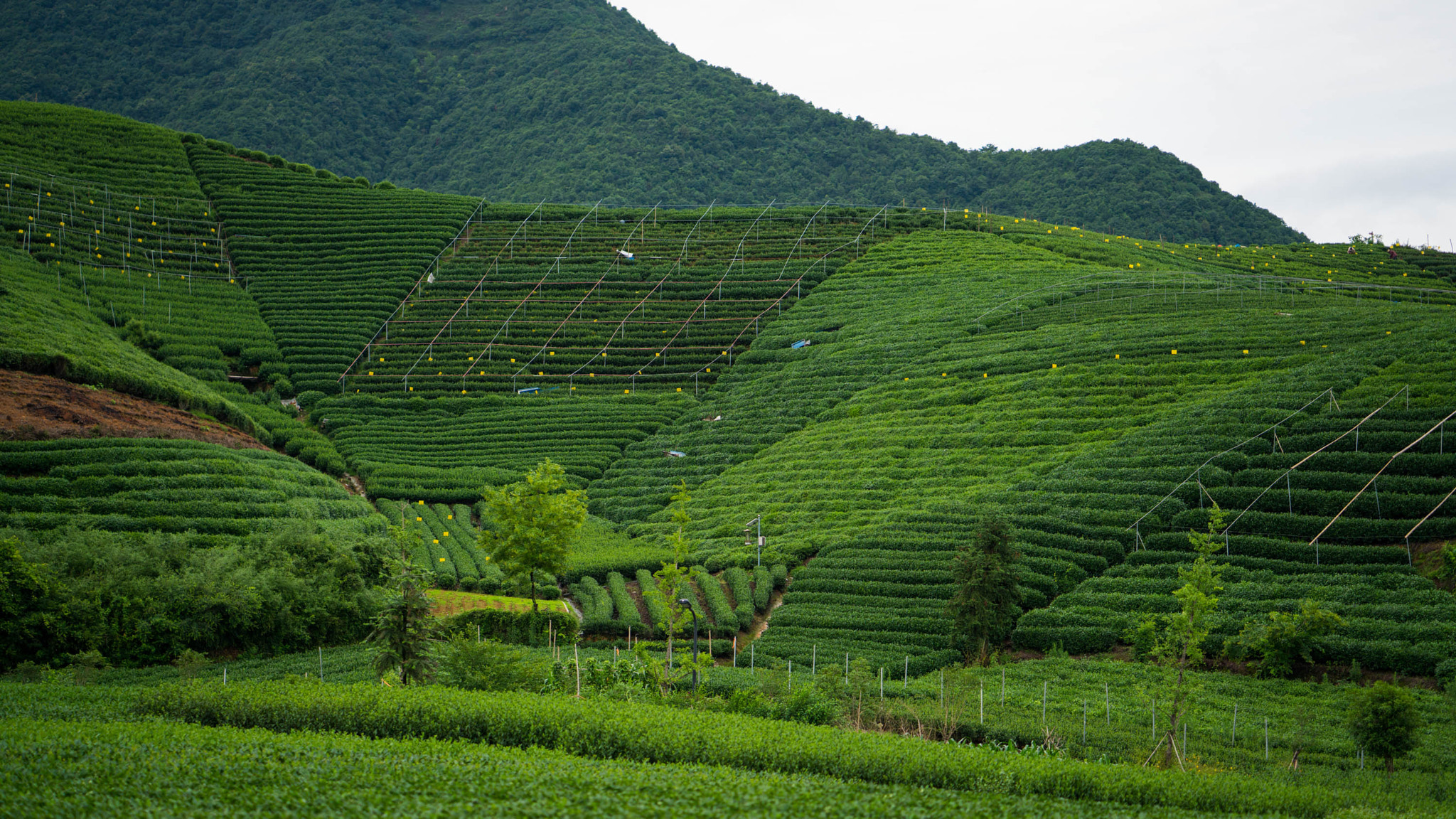 v2?sig=b7497bff57b3b3ca238b1a7f0dce372d7478f777d32db732400f9cc9b1642828