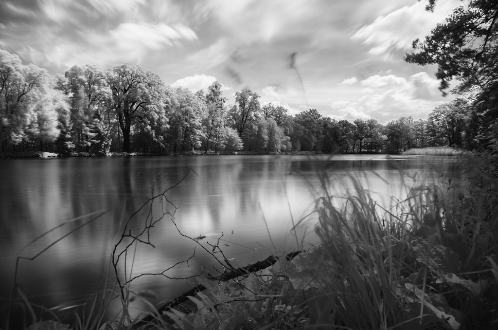 movement by dirk derbaum on 500px.com