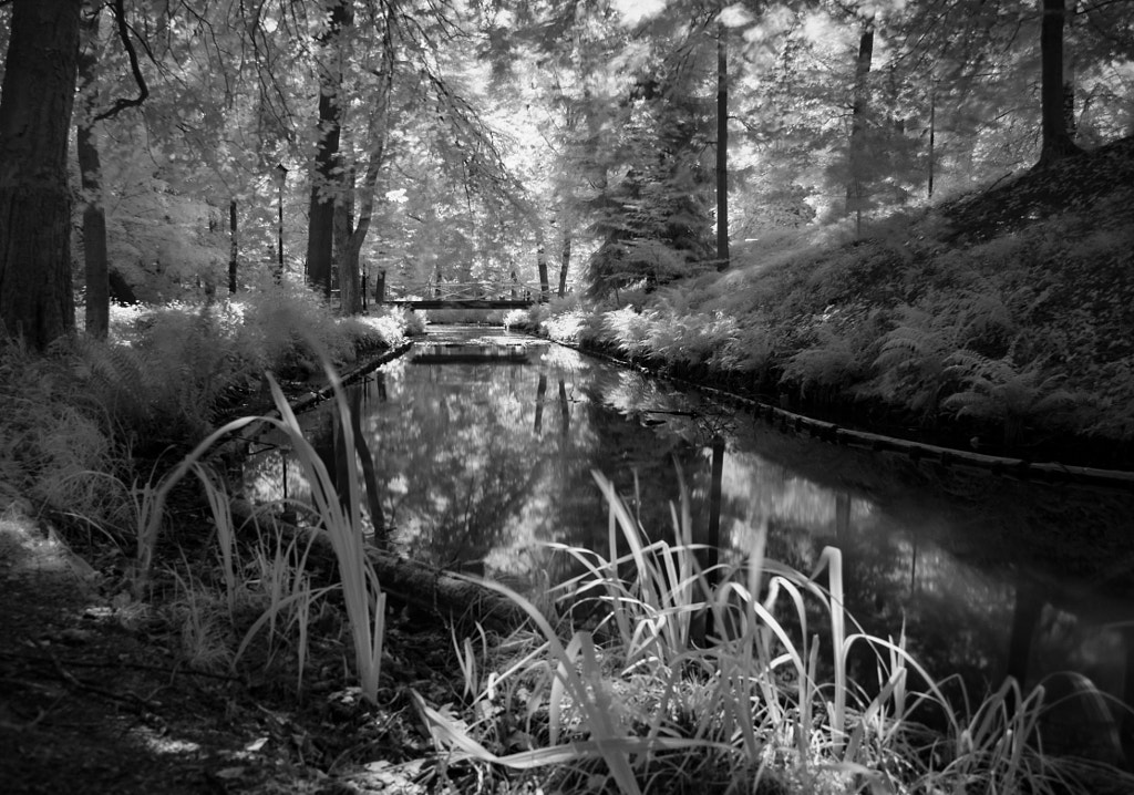 silence by dirk derbaum on 500px.com