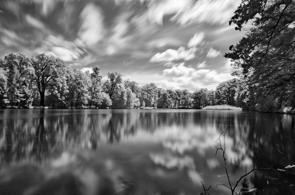 bewegung by dirk derbaum on 500px.com