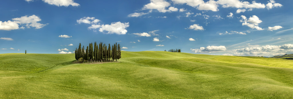 Dreaming of Tuscany by Crystal Stephens on 500px.com