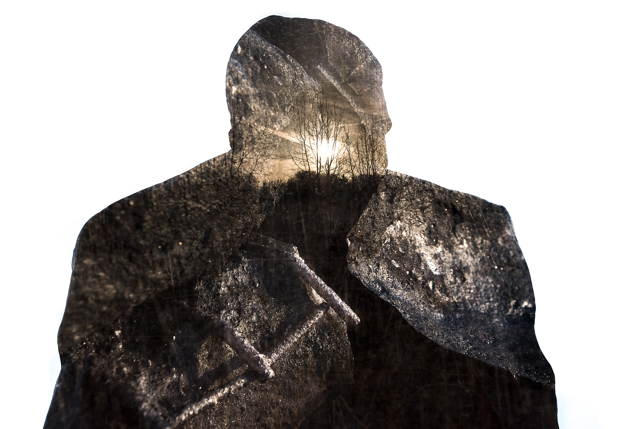 Not to be filled ...