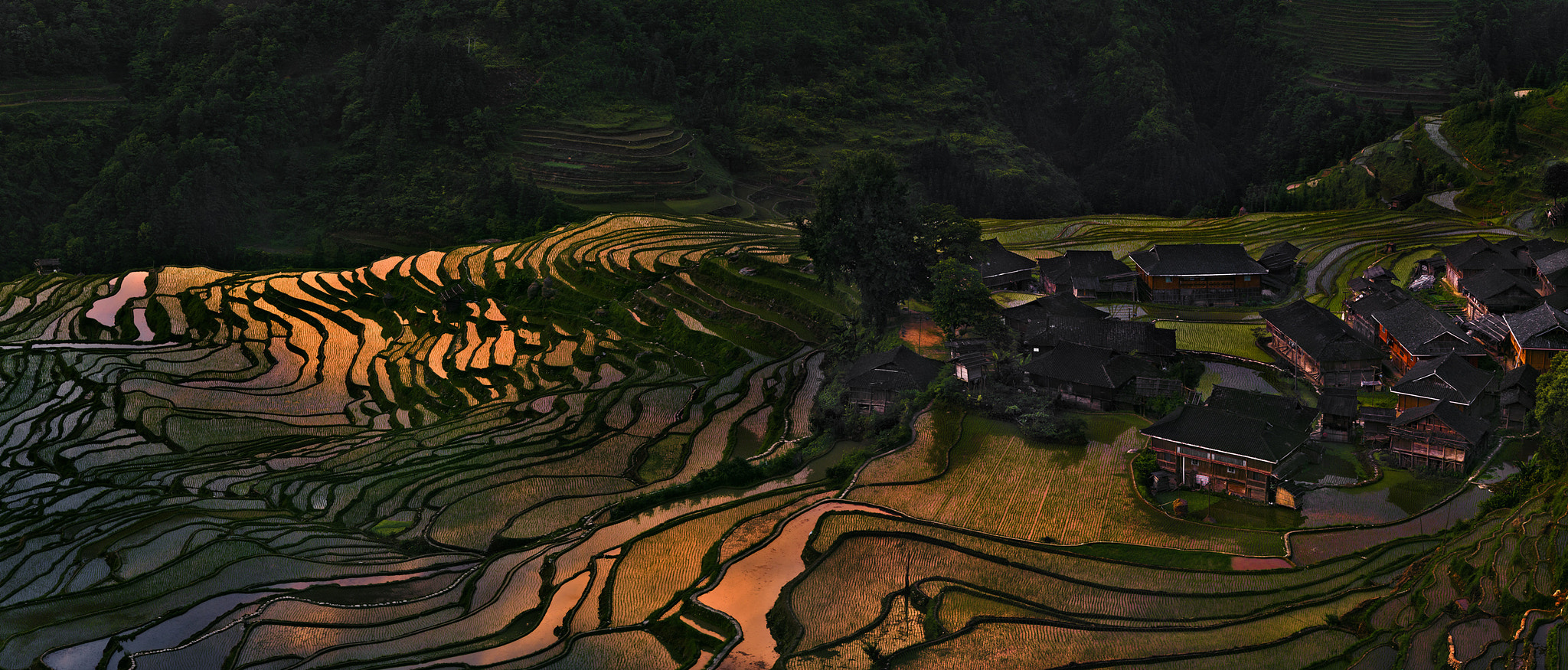 Thierry Bornier (ThierryBornier) Photos / 500px