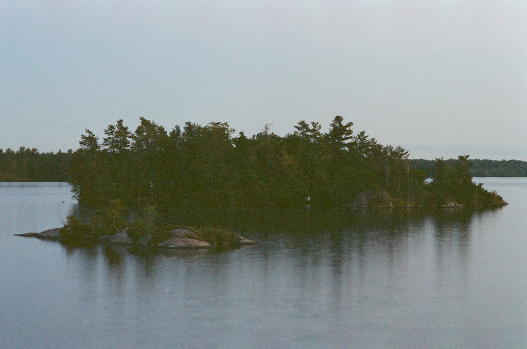 On an overcast day rests a small, somber island covered in trees. The trees bleed into their reflections in the water.