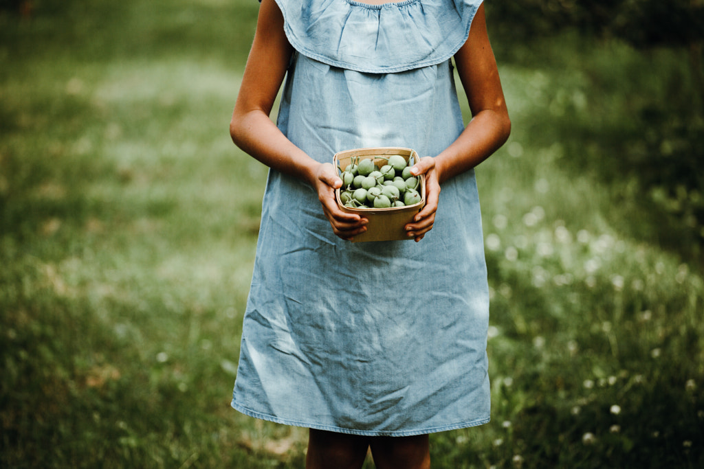 Beautiful young girl holding green apples in orchard by Gabriela Tulian on 500px.com