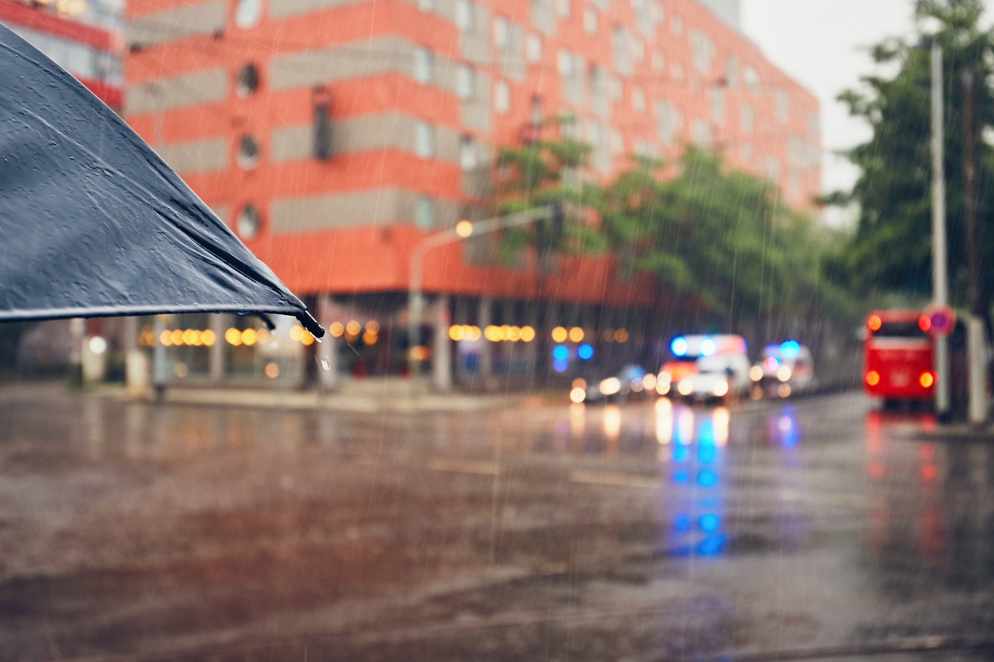 Rain in the city