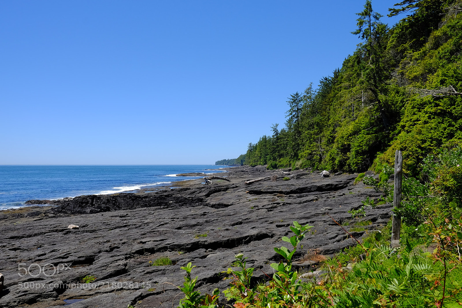 Fujifilm X-T1 sample photo. Vancouver island - juan photography