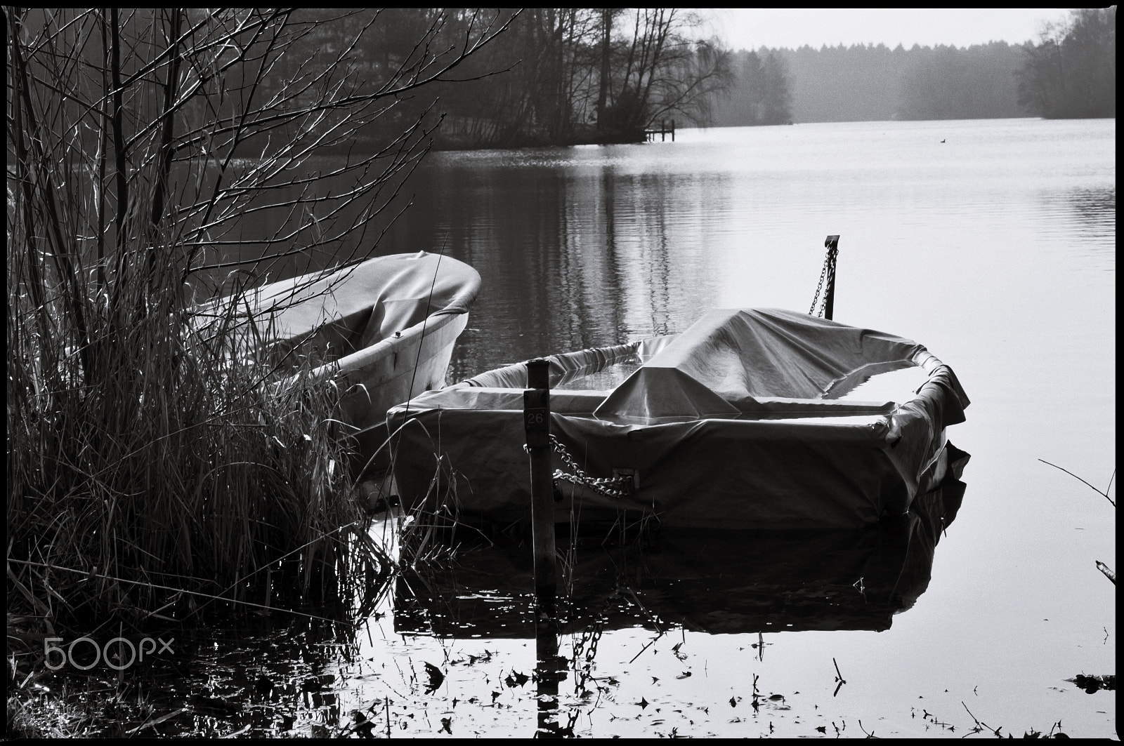 The calm lake