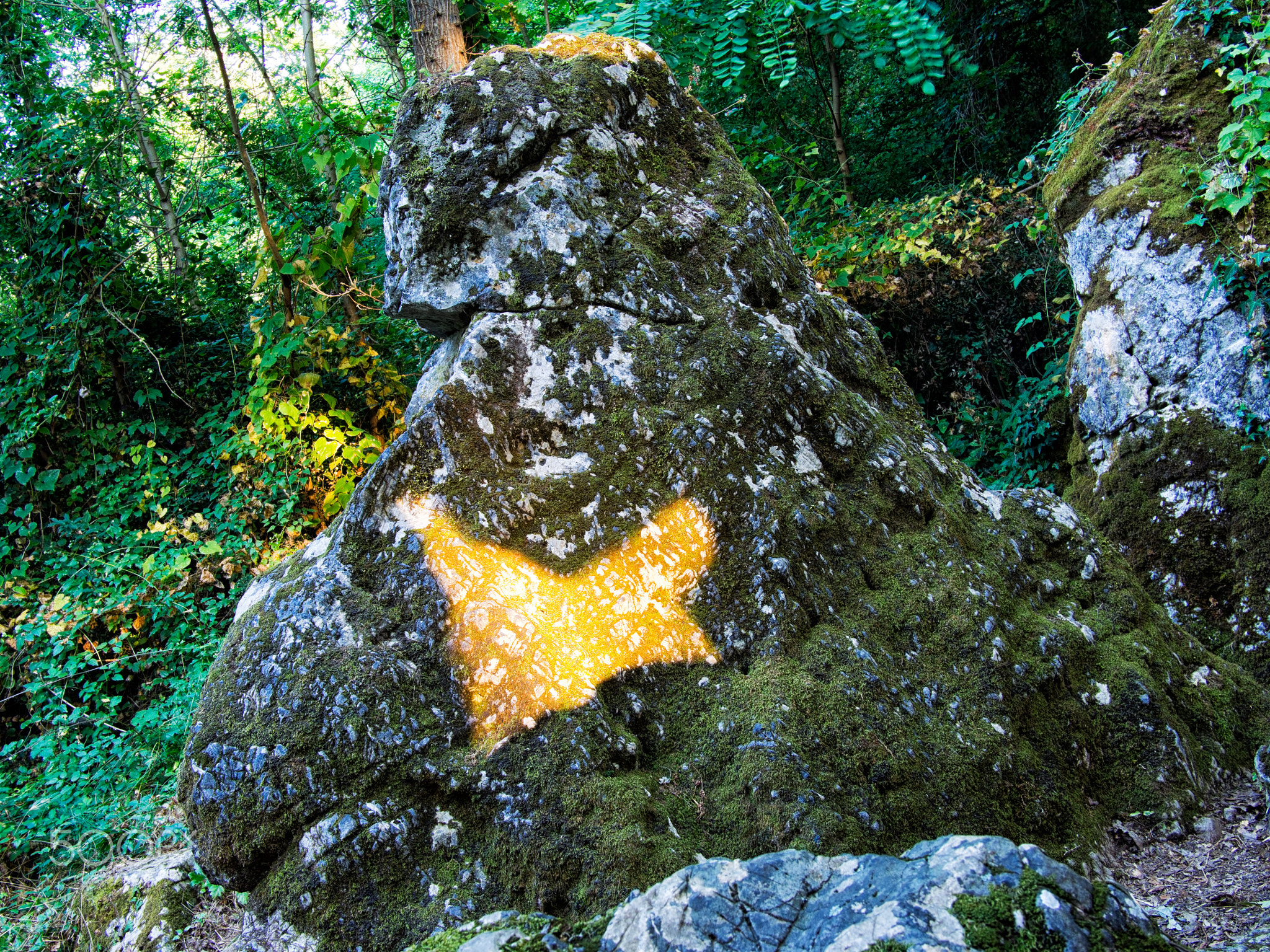 The Farfalla Dorata - the golden butterfly.
