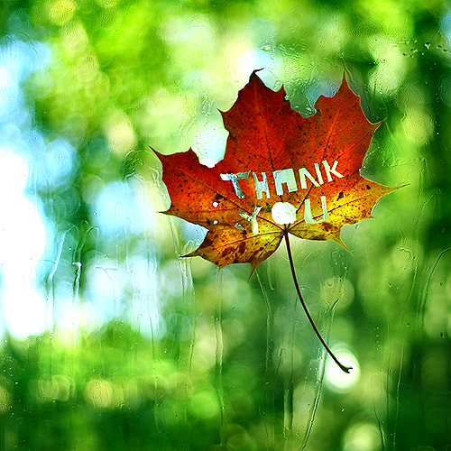 v2?sig=1df1029fe250db766006cec755834305cff63ffc6cc0b8cbb17888b2da5ad488