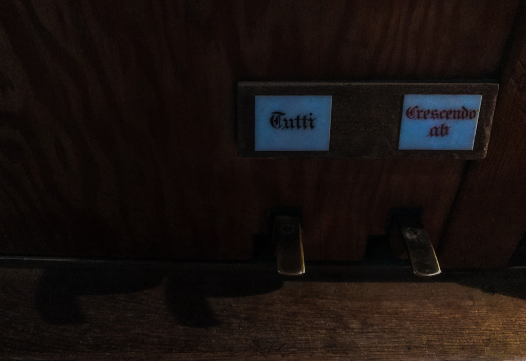 tutti by dirk derbaum on 500px.com