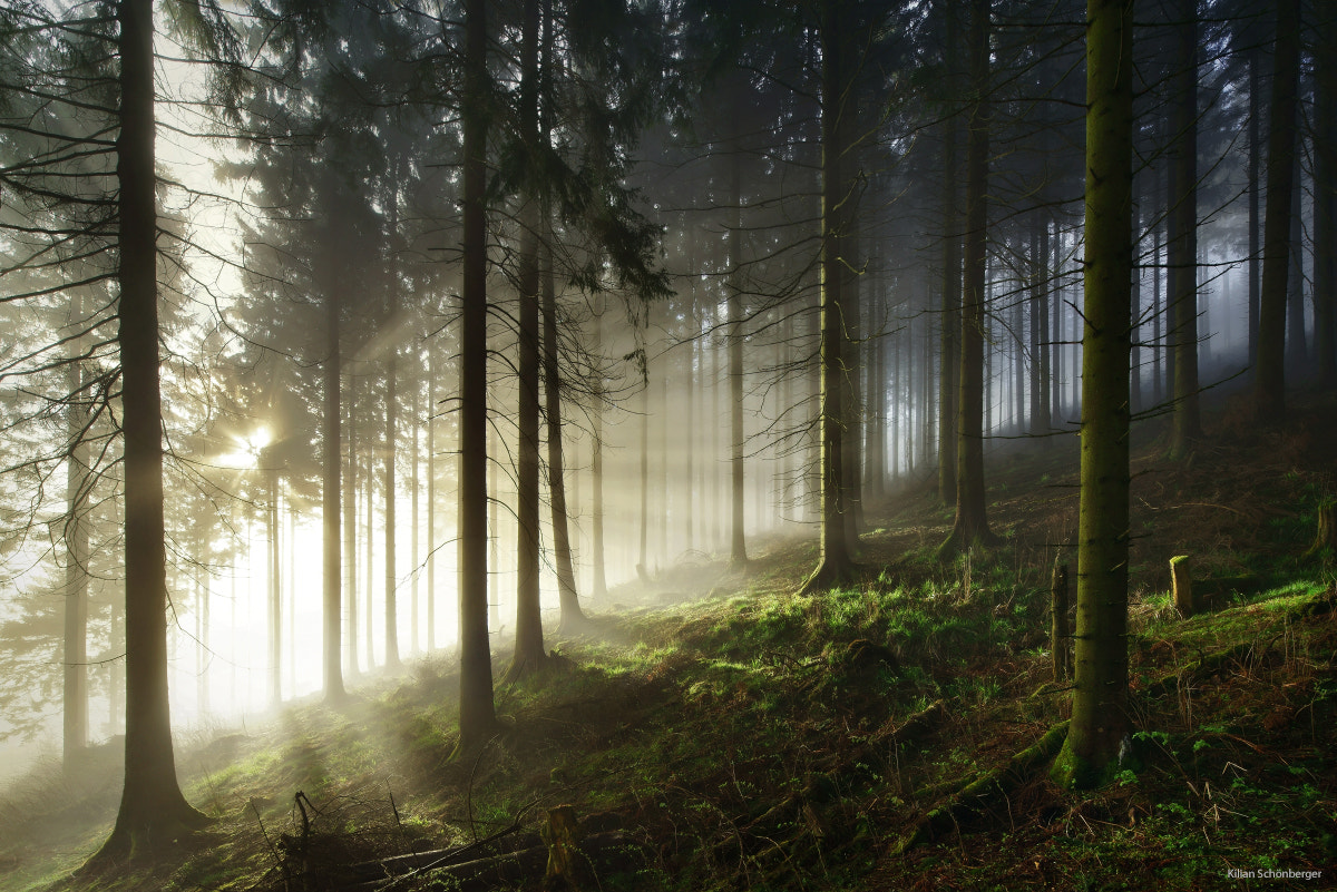 Filtered Light by Kilian Schönberger / 500px