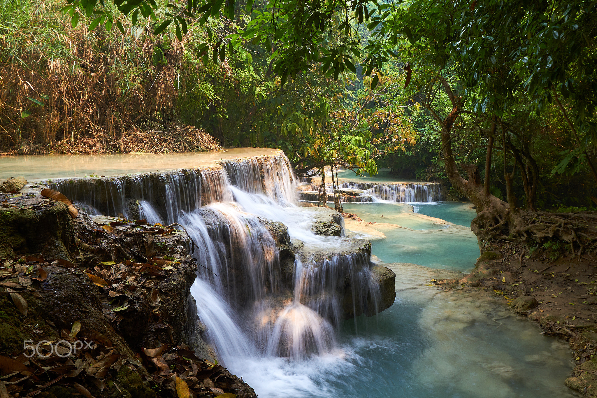 Laos - Tat Kuang Si waterfalls