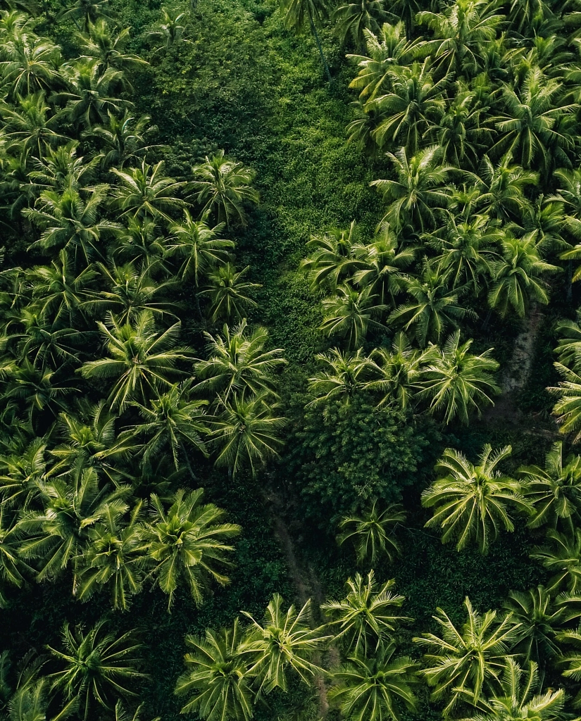 Island tings. by Nick Verbelchuk on 500px.com