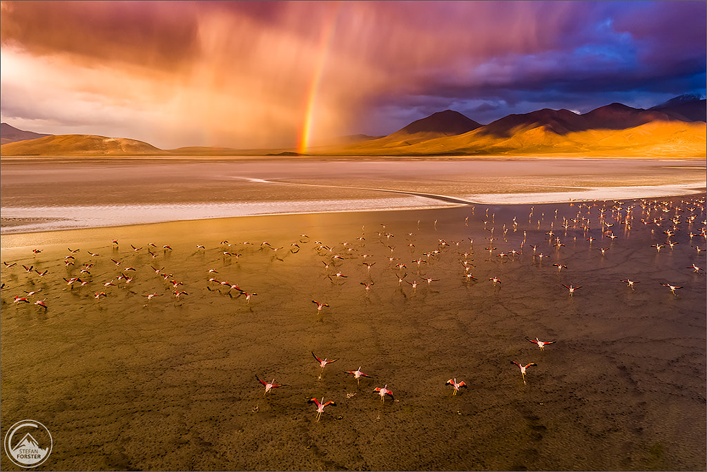 Moments like this... by Stefan Forster on 500px.com
