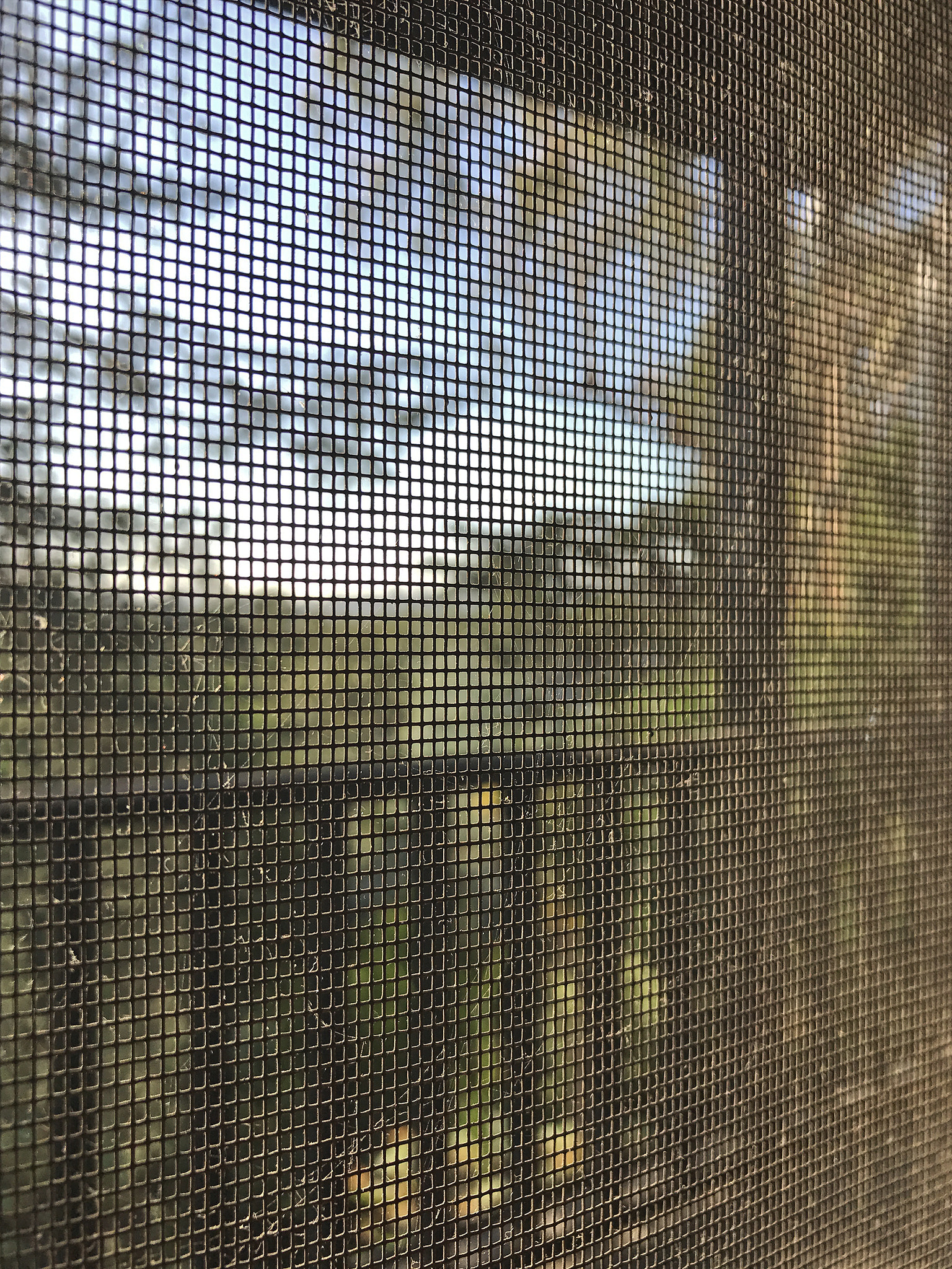 Screen Back Porch Silver Lake