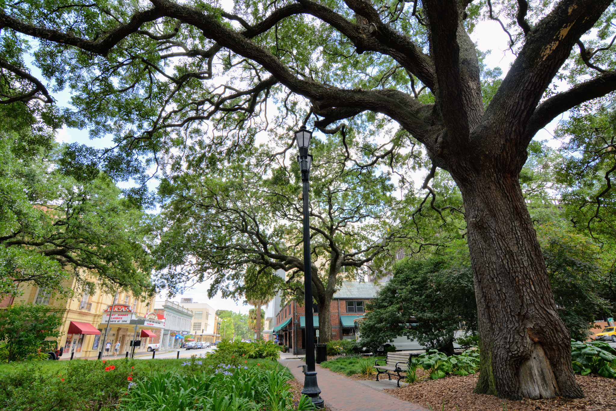 Nikon D7100 sample photo. Savannah photography