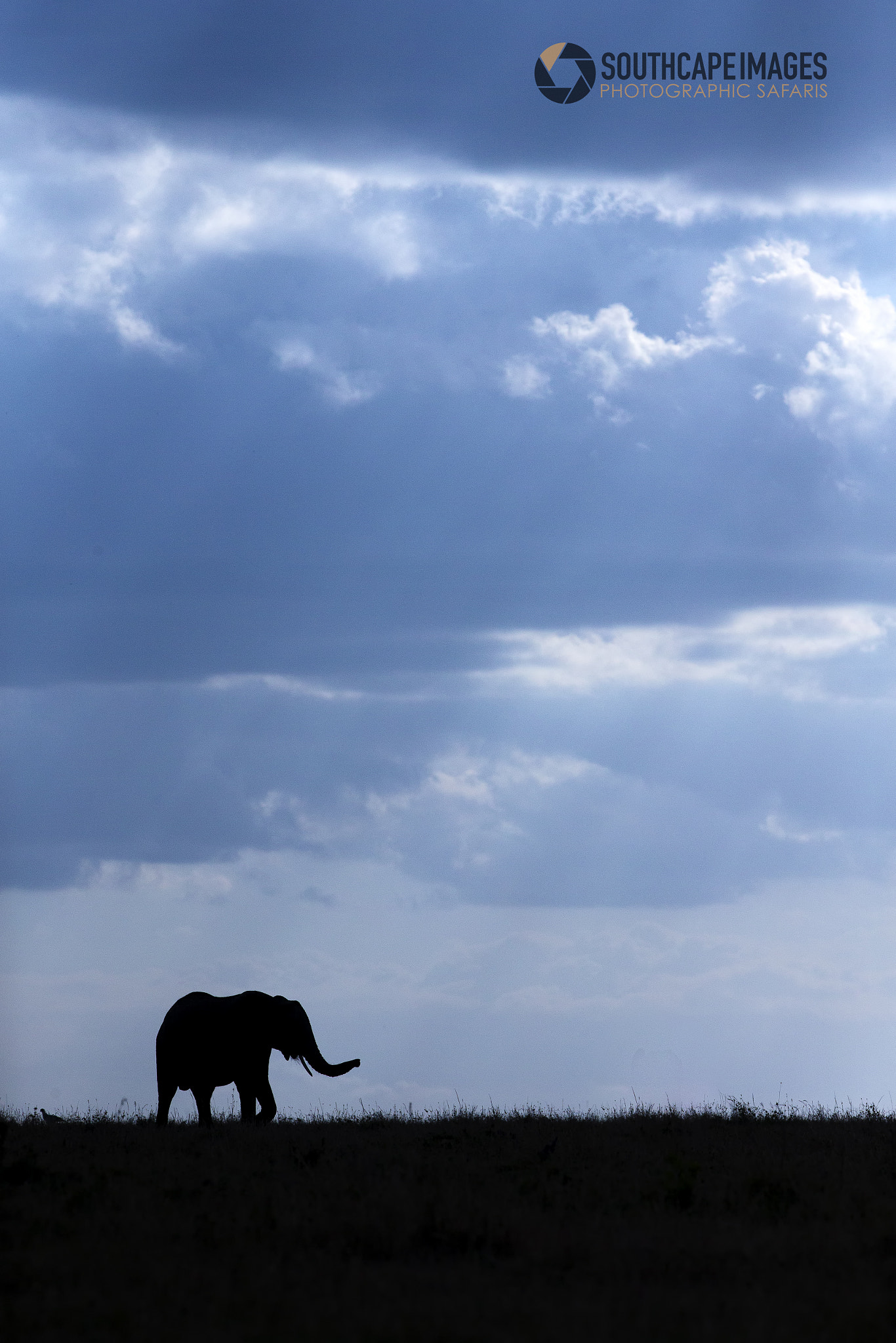 Mario Moreno (mariomoreno) Photos / 500px