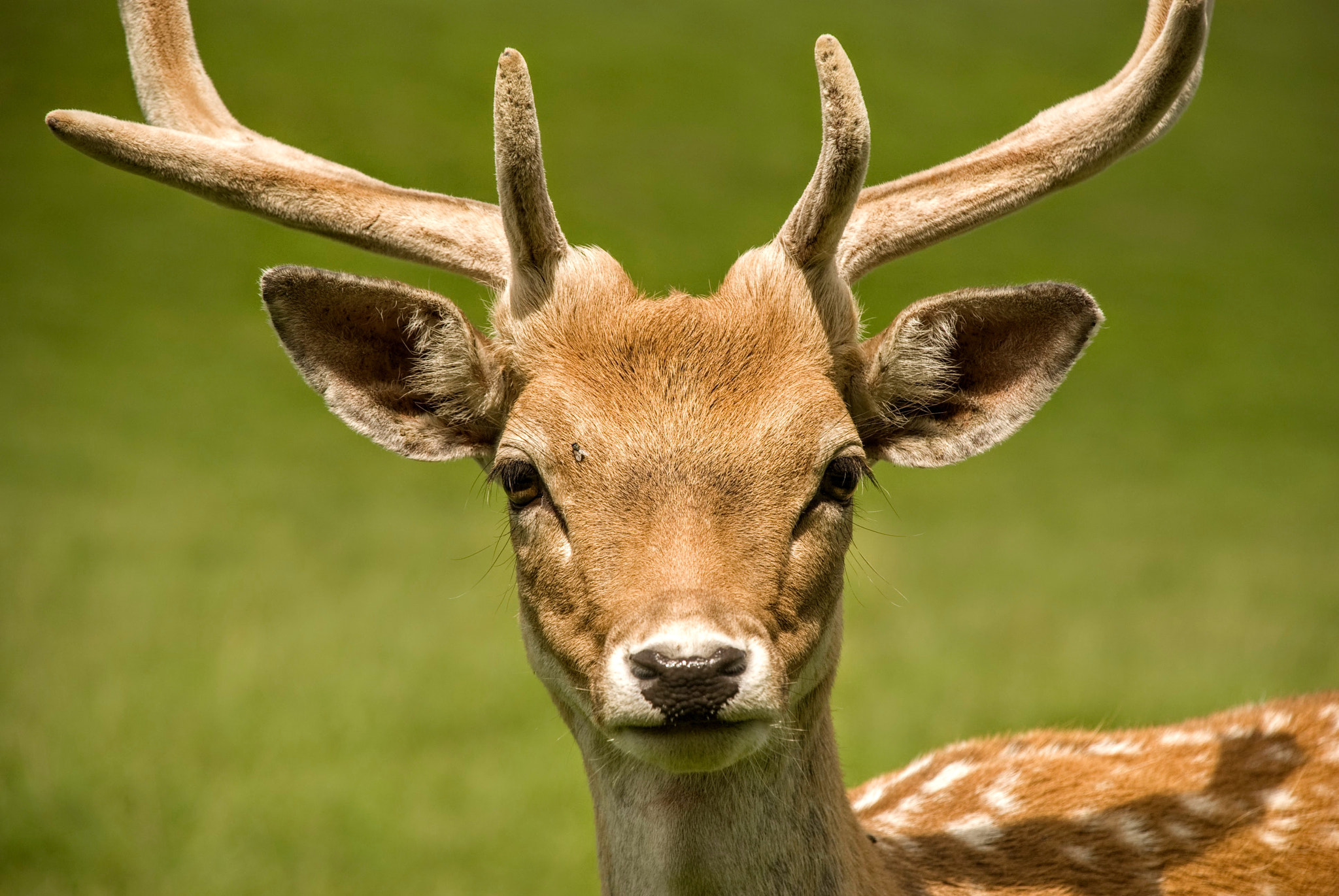 v2?sig=9347df8a5e2eff1da46845576044b2367f4b1e891ffedc33f7e0377bbe29d147