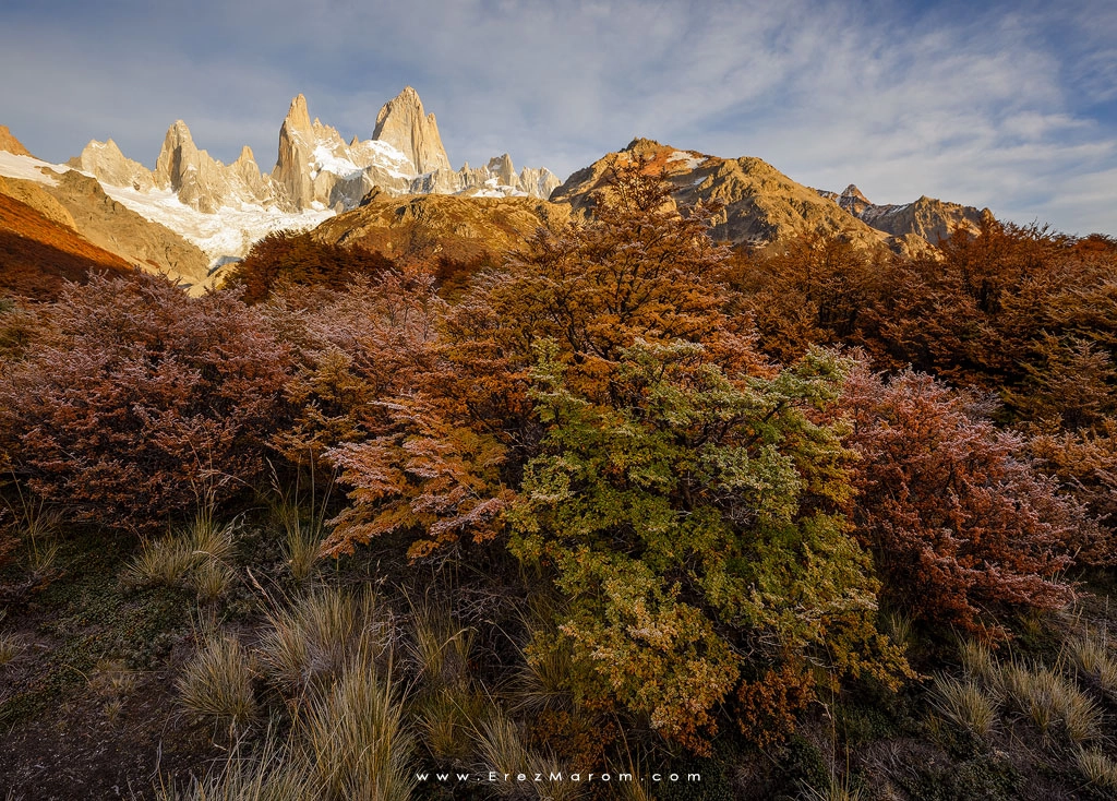 The Colors of Frost by Erez Marom on 500px.com