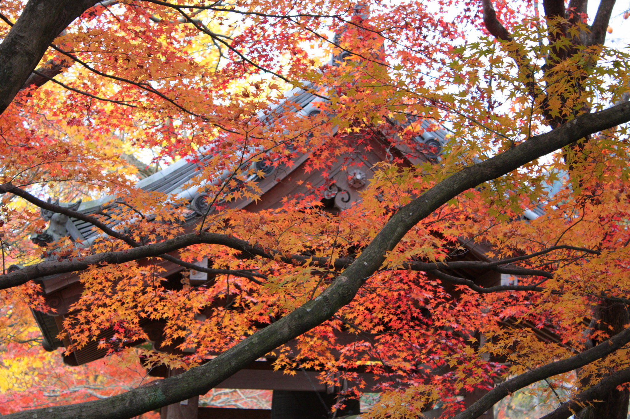 v2?sig=3dedb920ff60d3ec23f9b734f543b75e30bb13d942b2824d181d186892ac604b