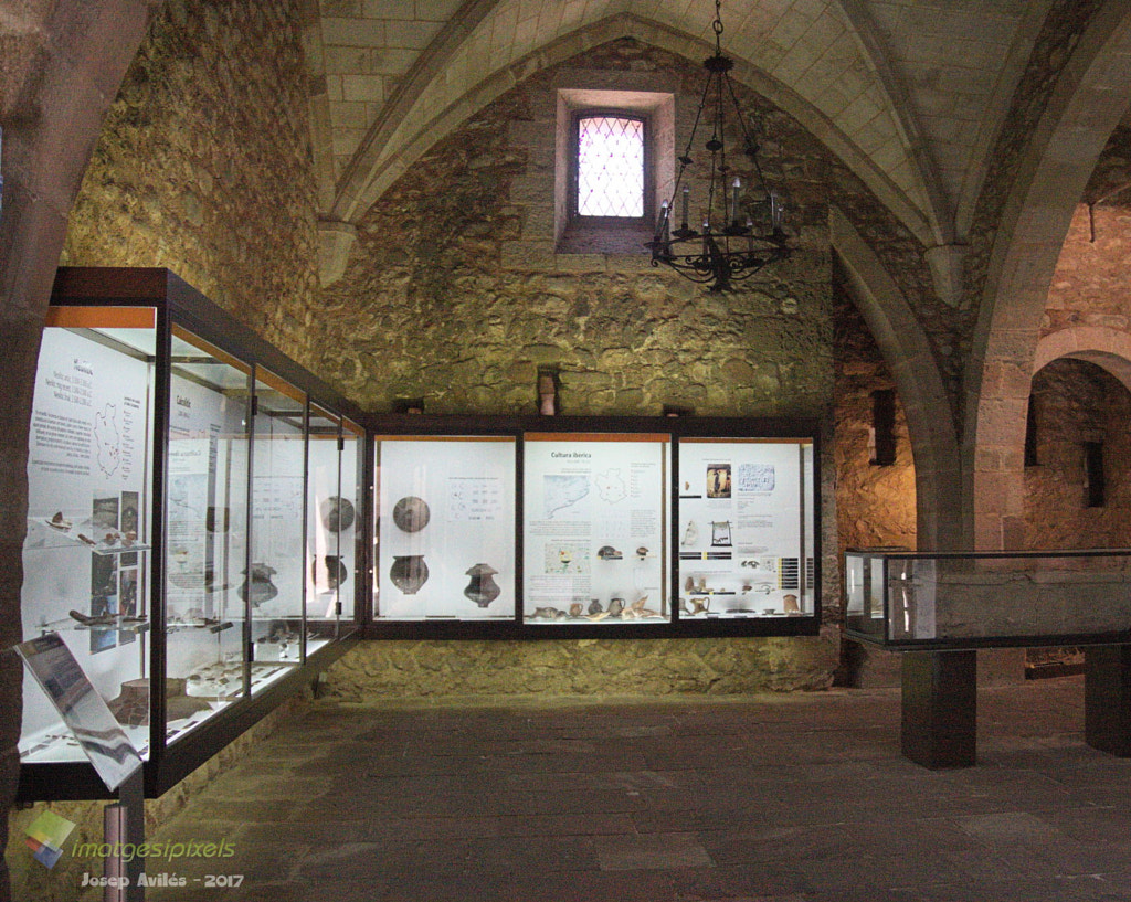 Interior del Castell Cartoixa de VallParadís