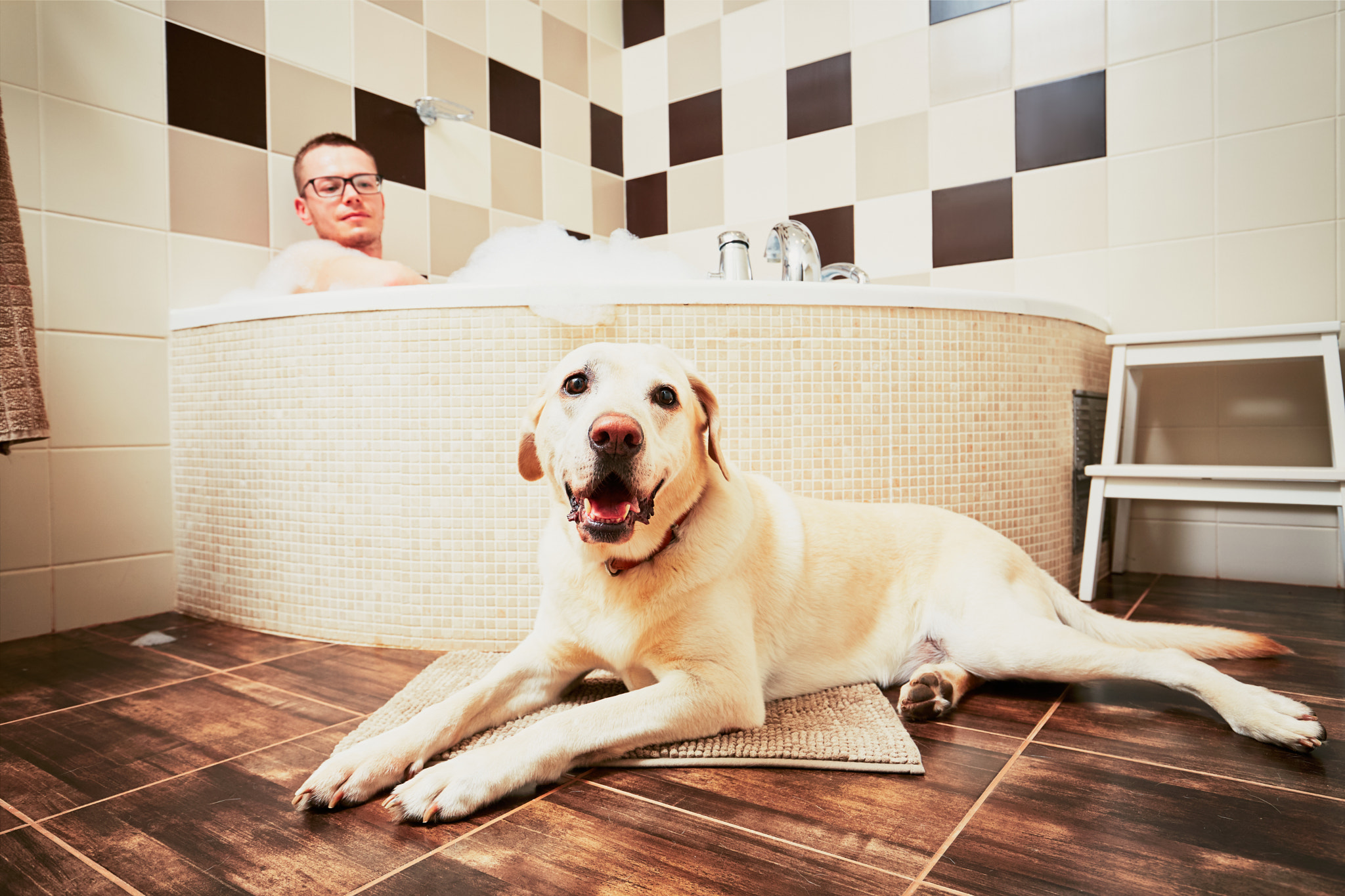 Living with dog