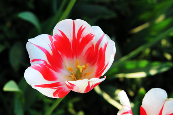 JC70's Photos & Galleries | 500px