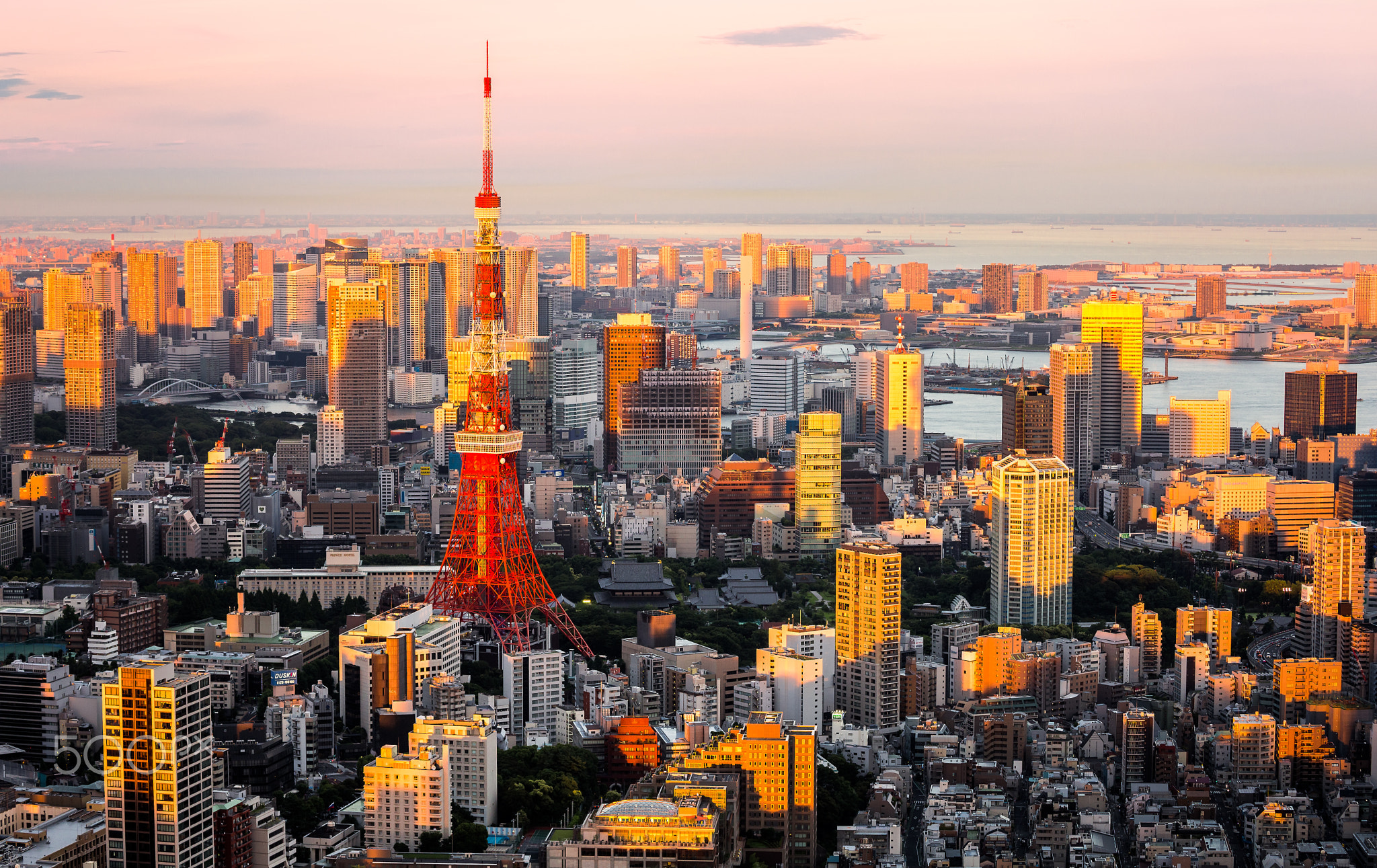 ํYellow Tokyo tower