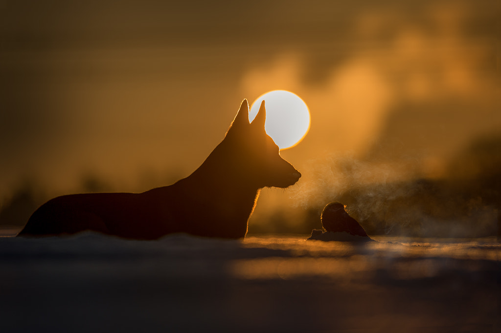 Light by Tanja Brandt on 500px.com